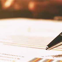 Vehicle rental report released Vehicle rental report released