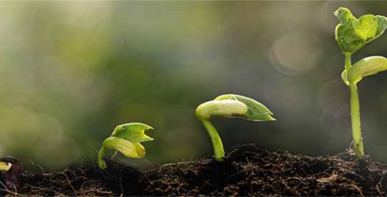Motor industry celebrates 20 years of sustainable growth