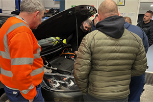 Essential alternative fuelled vehicles risk course for assessors